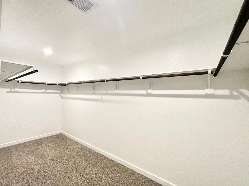 30007 Foxtail Pine Court - Photo 16