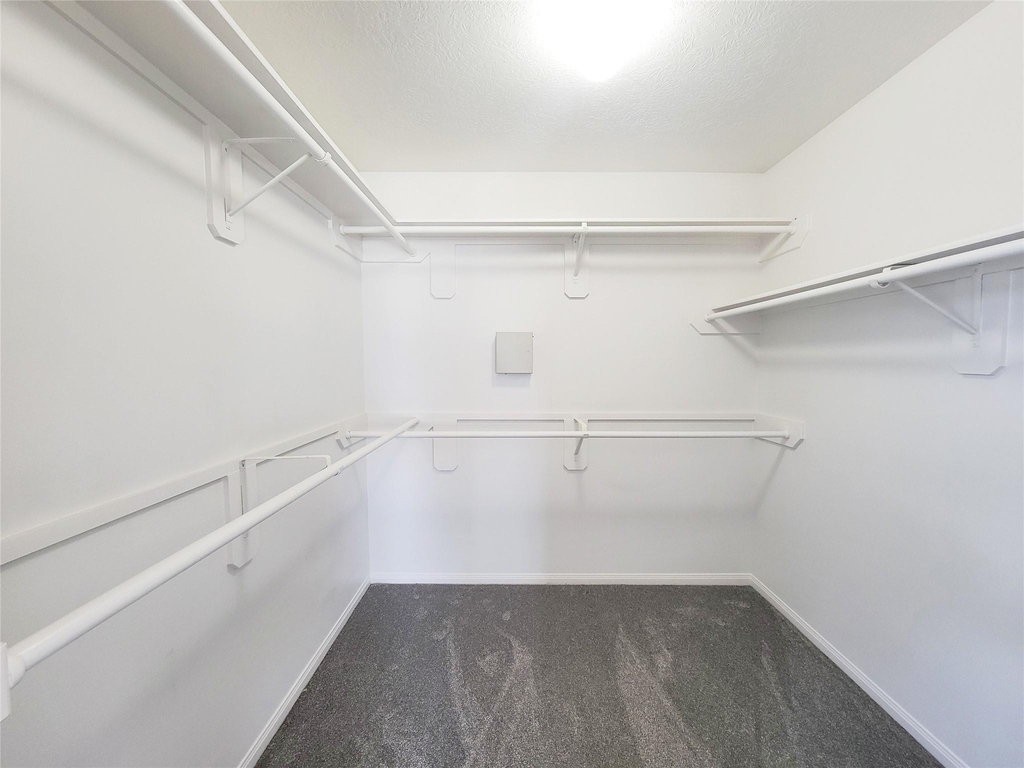 20839 Beech Tree Drive - Photo 18