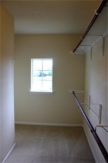 5110 Lakota Trail - Photo 13