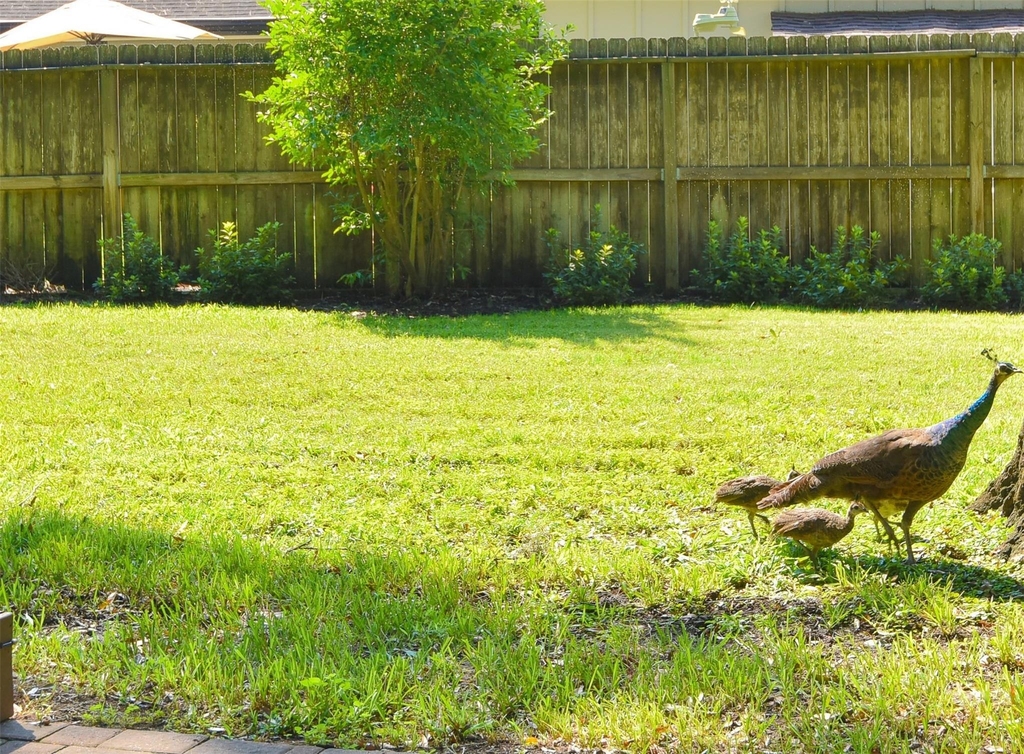 14119 Kellywood Lane - Photo 30