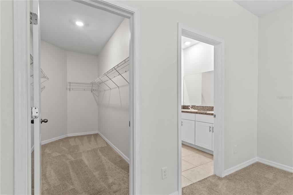 13448 Crest Lake Drive - Photo 12