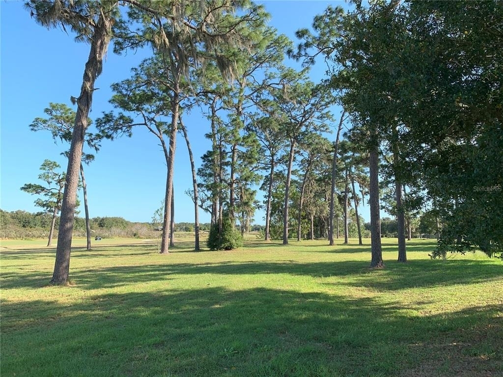 23741 Sorrento Springs Drive - Photo 37