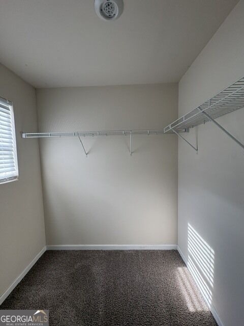 665 Carlton Pointe Drive - Photo 6