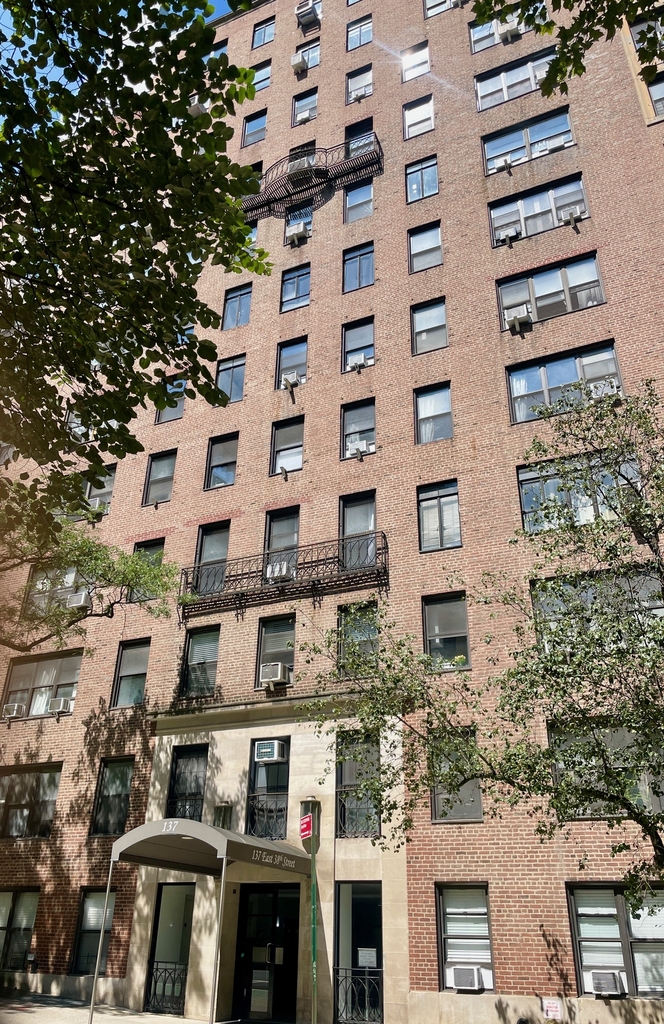 East 38th Street/ Lexington - Photo 10