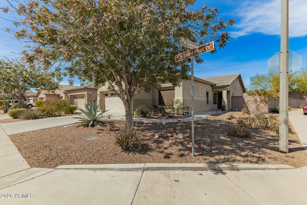 44296 W Desert Plant Trail - Photo 25