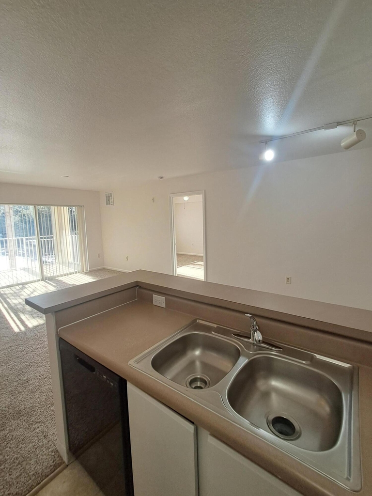 171 Sw Palm Drive - Photo 5