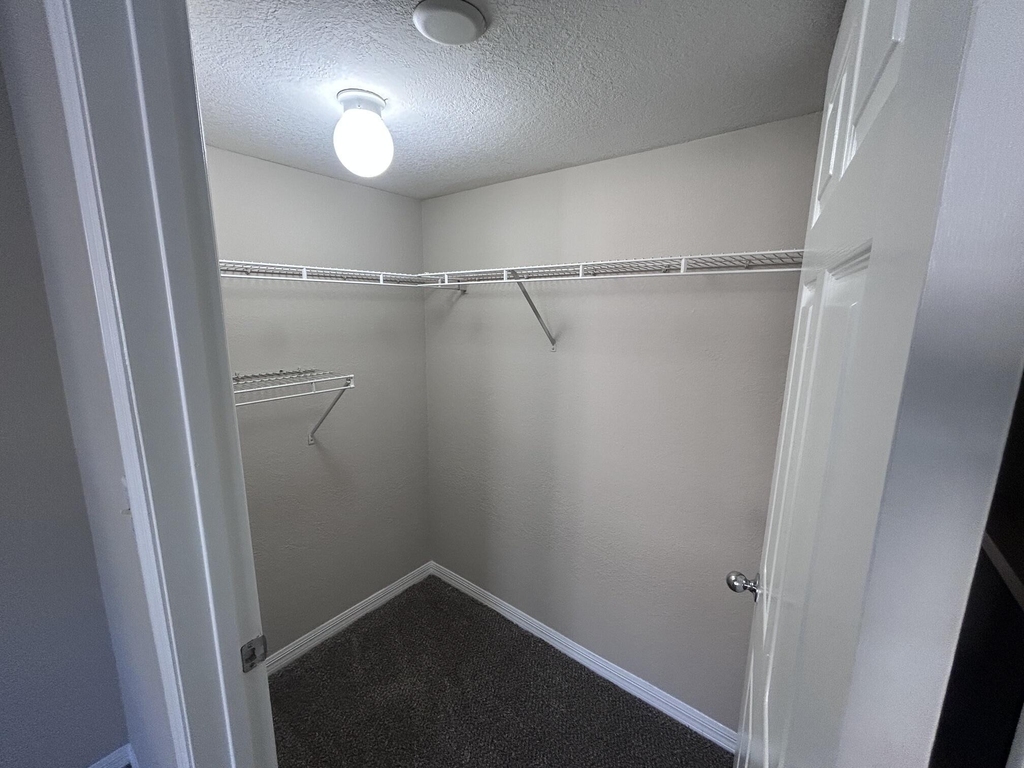 15155 Michelangelo Boulevard - Photo 14