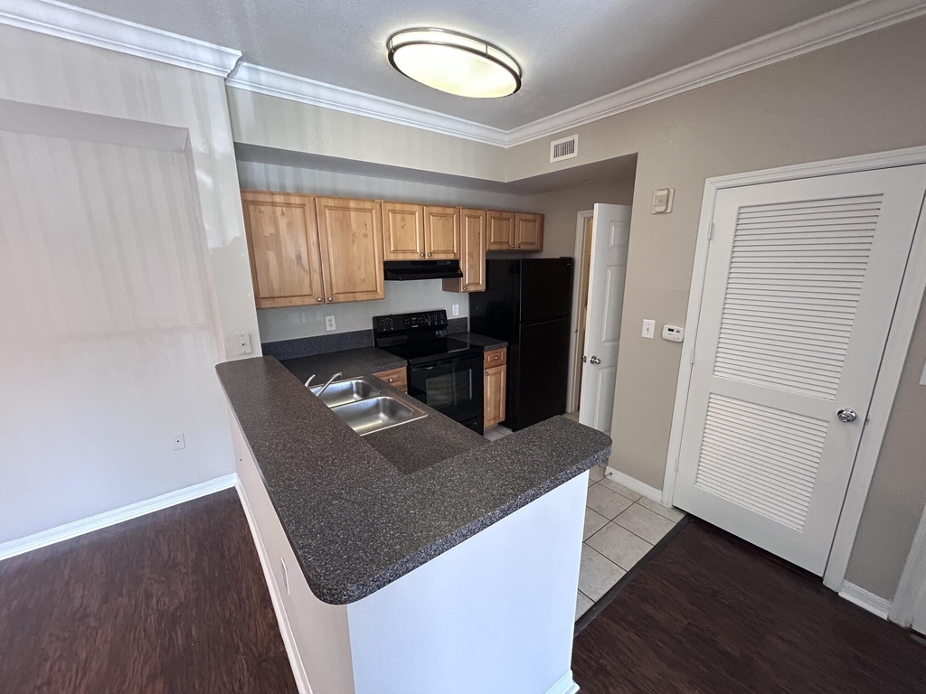 15115 Michelangelo Boulevard - Photo 3