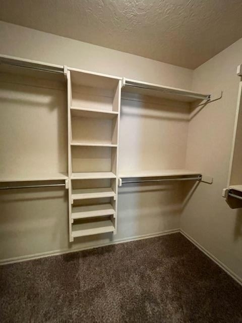 804 Beechwood Way - Photo 22