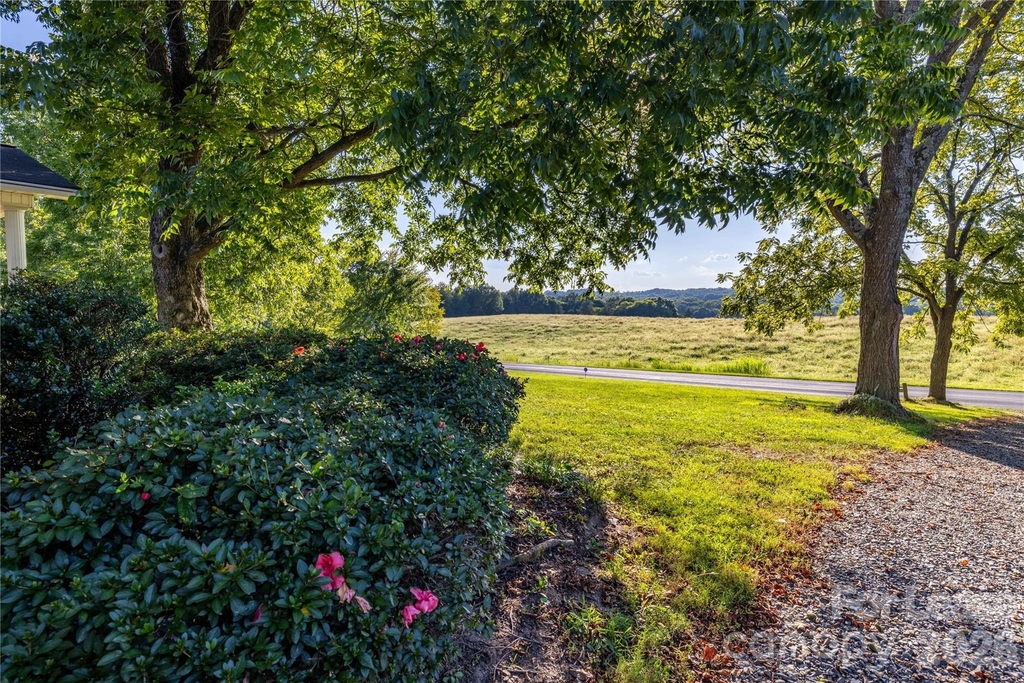 34838 Ellen Road - Photo 8