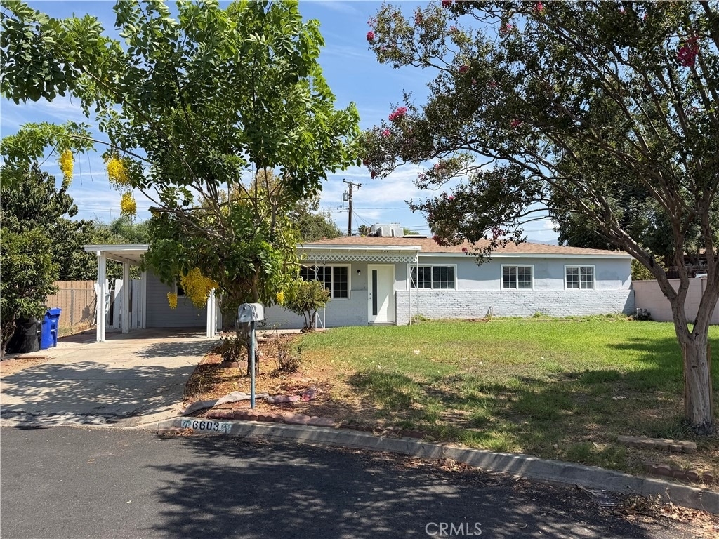 6603 Mitad Court - Photo 0