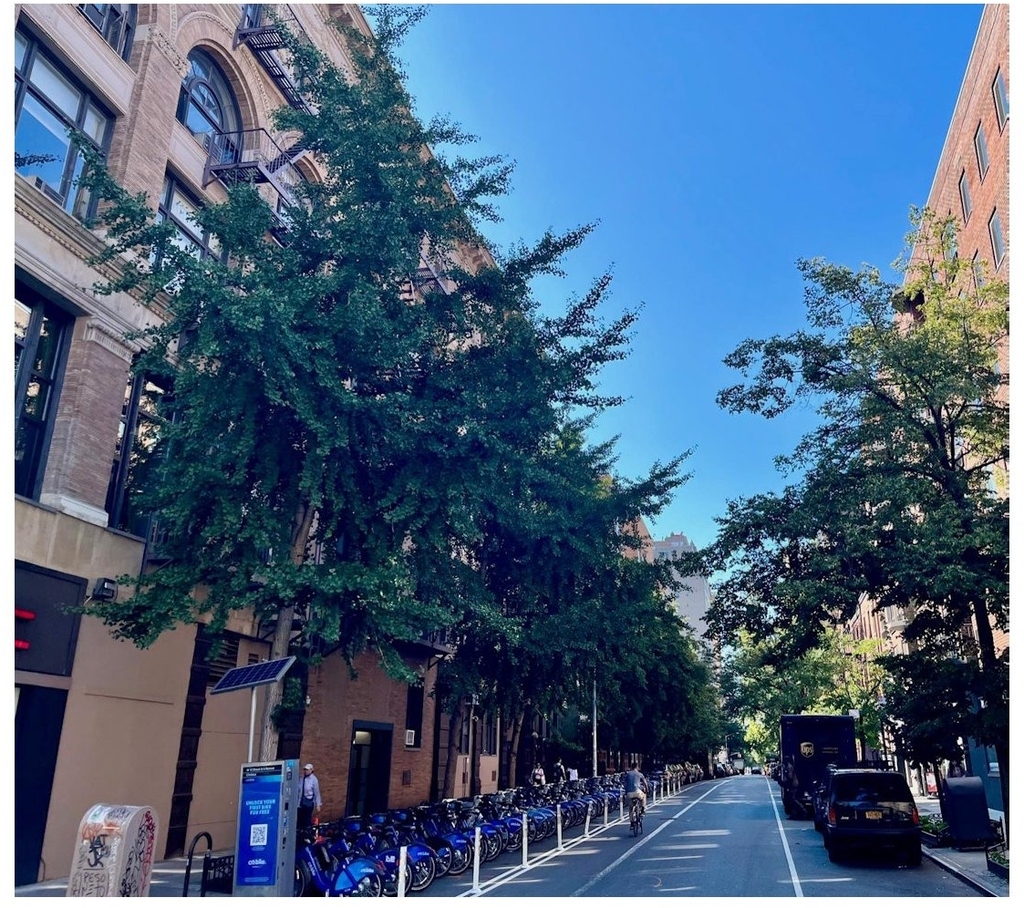 100 W 15th Street - Photo 12