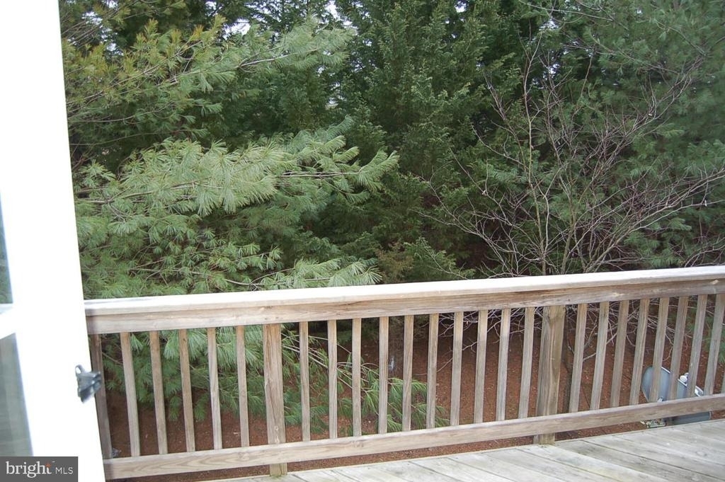 4081 Cressida Place - Photo 29
