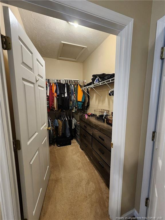 3109 Wisteria Lane - Photo 12