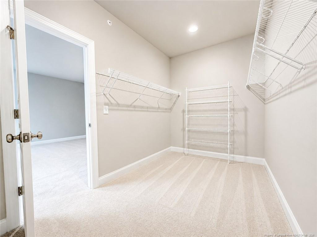 1242 Coach Station Alley - Photo 10