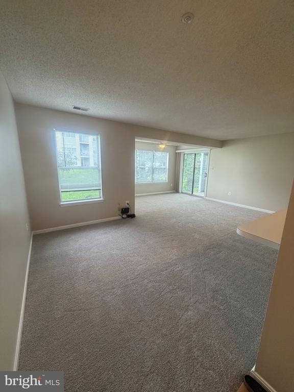 2703 Snowbird Terrace - Photo 22