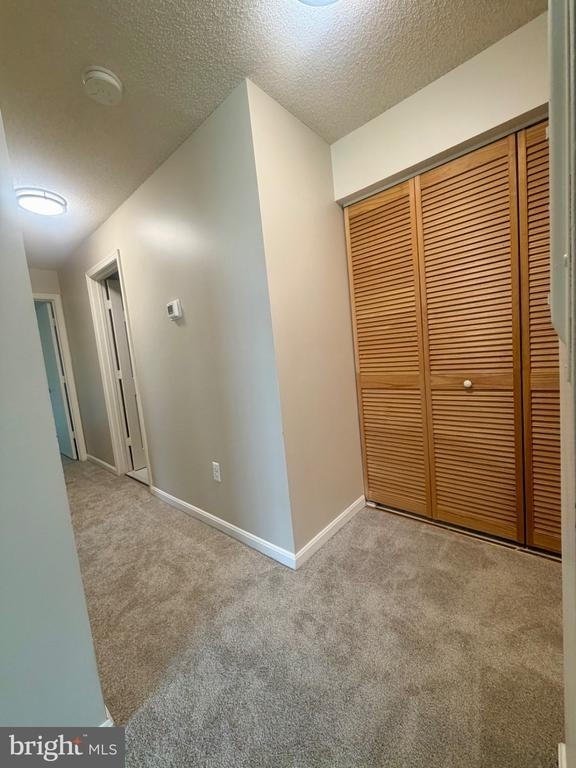 2703 Snowbird Terrace - Photo 26