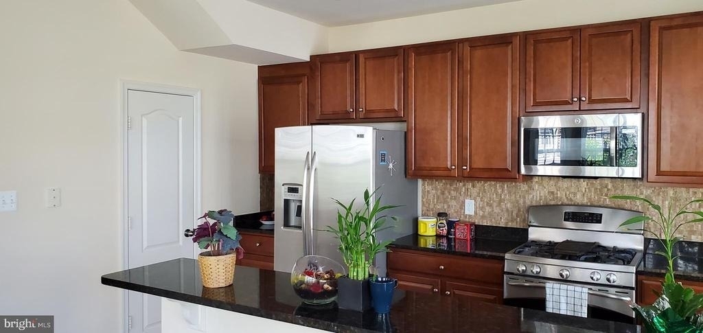 12425 Horseshoe Bend Circle - Photo 4