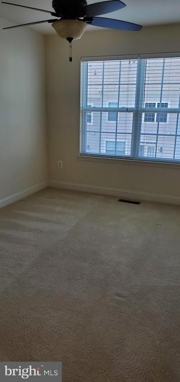 12425 Horseshoe Bend Circle - Photo 14
