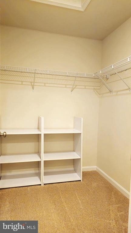 717 Pickerel Place - Photo 11