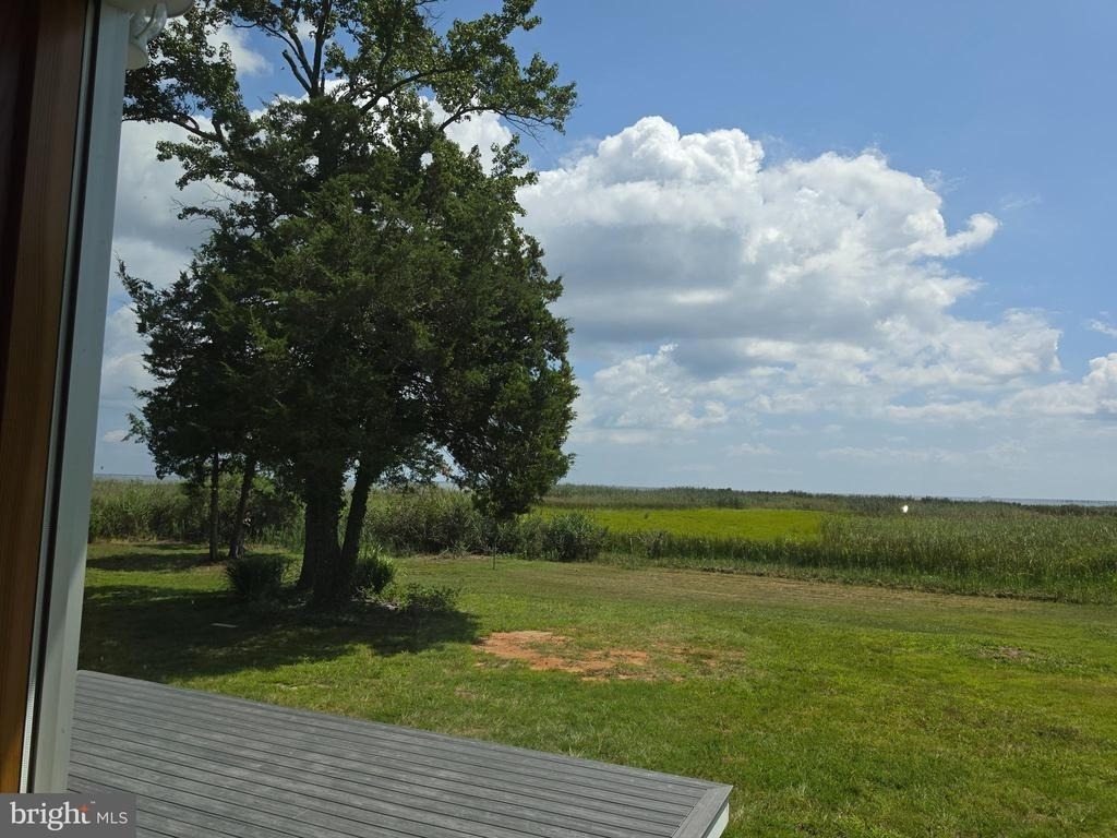 1345 Ellicott Avenue - Photo 46