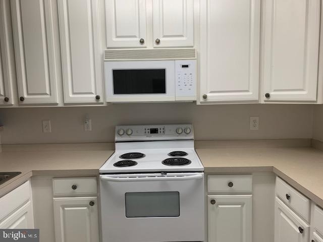36519 Palm Drive - Photo 4