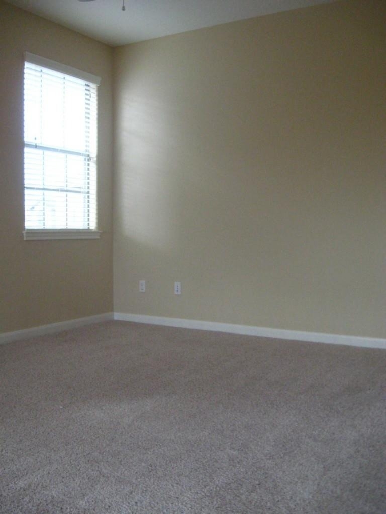 12704 Venice Ln - Photo 10