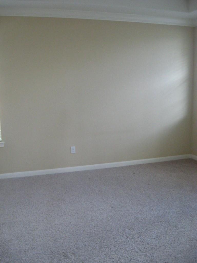 12704 Venice Ln - Photo 15