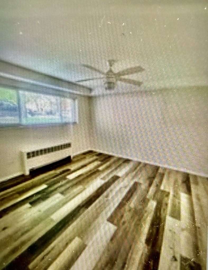 6146 N Damen Avenue - Photo 5