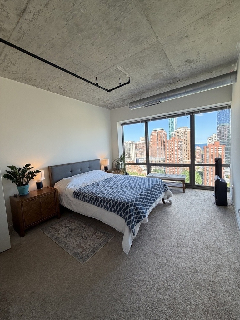 900 S Clark Street - Photo 7
