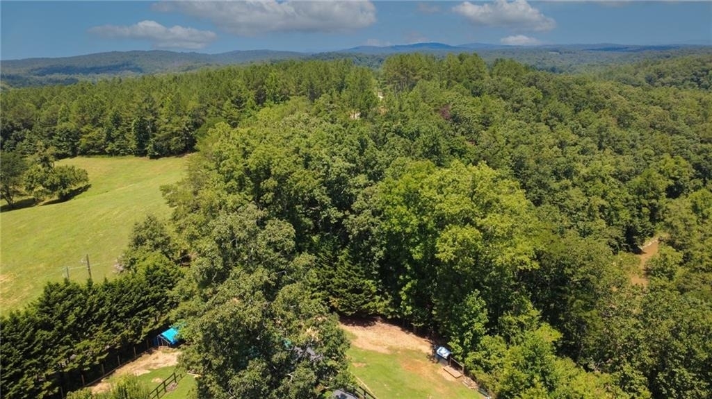 268 Creek Bank Drive - Photo 43