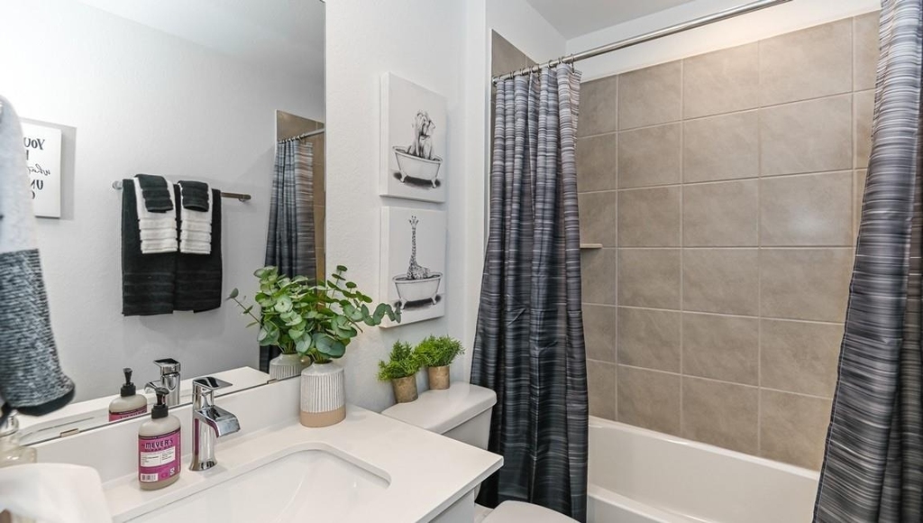 7918 Murciana Drive - Photo 9