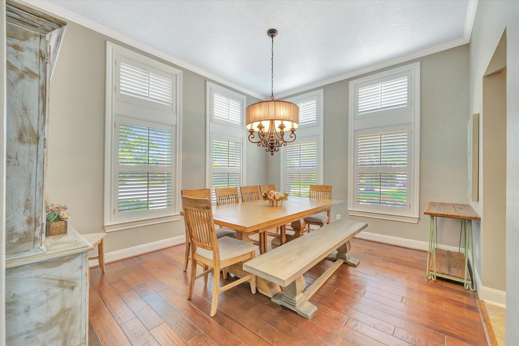 3806 Canyon Bluff Court - Photo 19