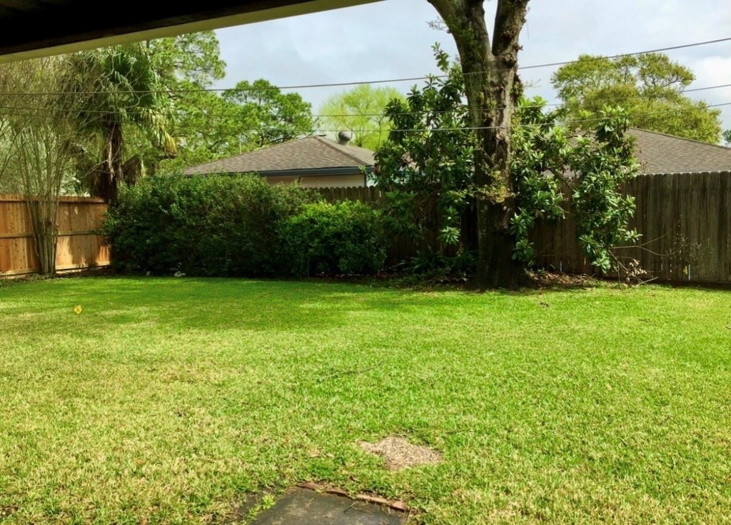 2534 Rosefield Drive - Photo 1