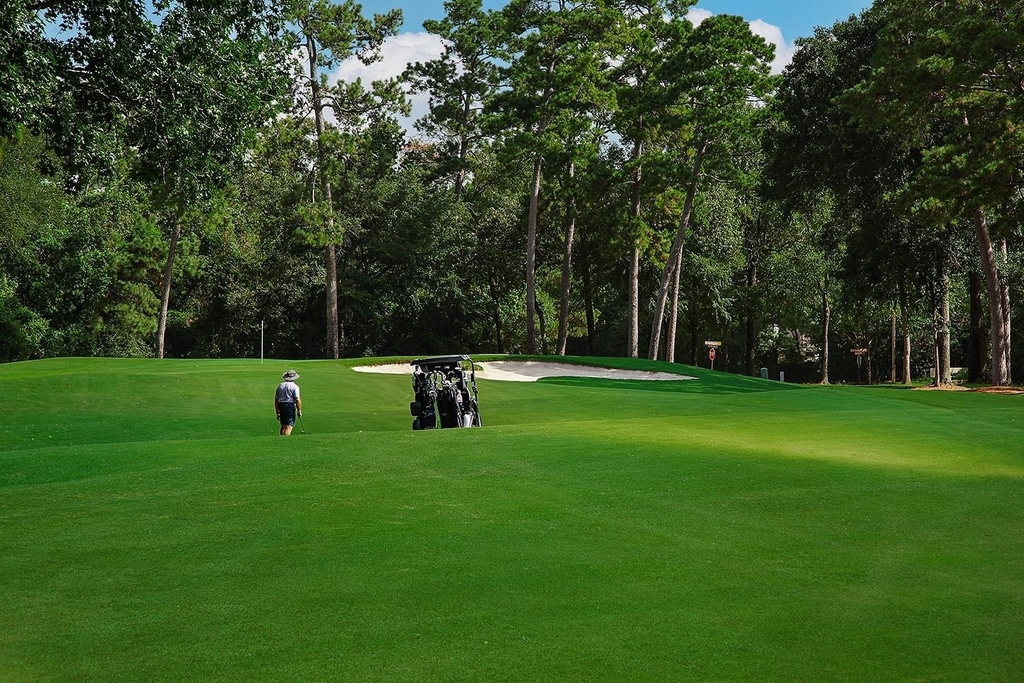 14 Lyric Arbor Circle - Photo 41
