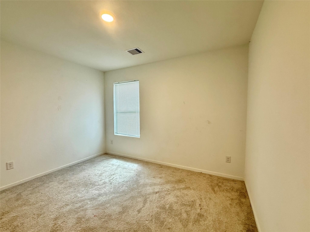 26746 Prairie Smoke Lane - Photo 12