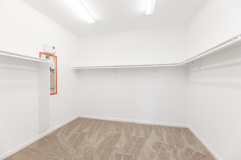 26306 Julia Manor Drive - Photo 22