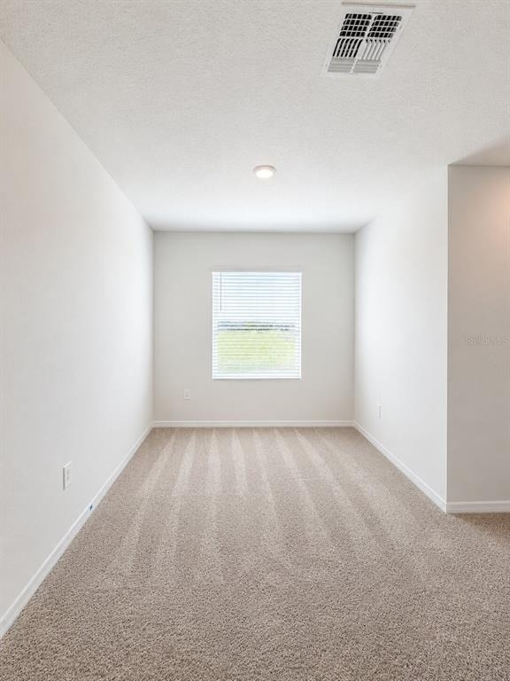 31170 Paper Birch Street - Photo 5