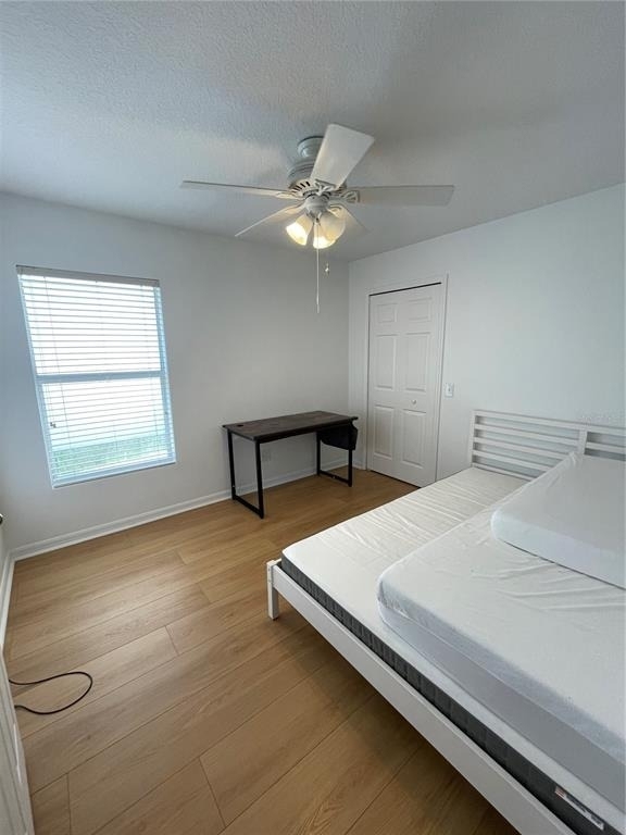 5033 Prairie View Way - Photo 13
