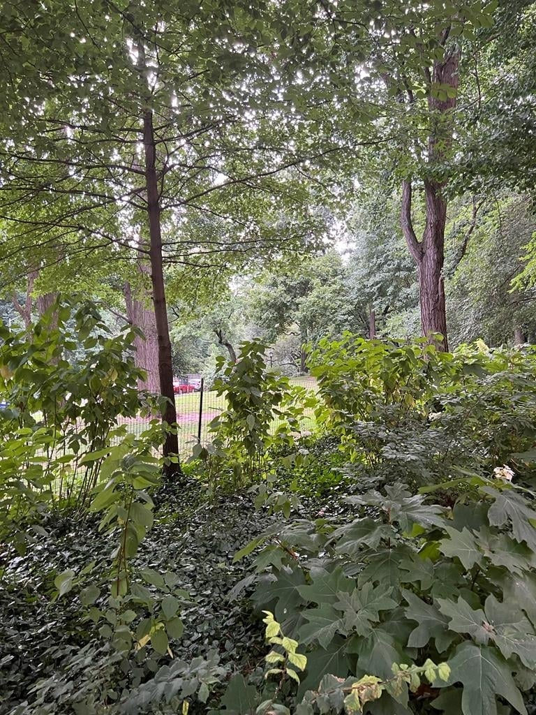 W 92 St / Riverside Drive - Photo 19