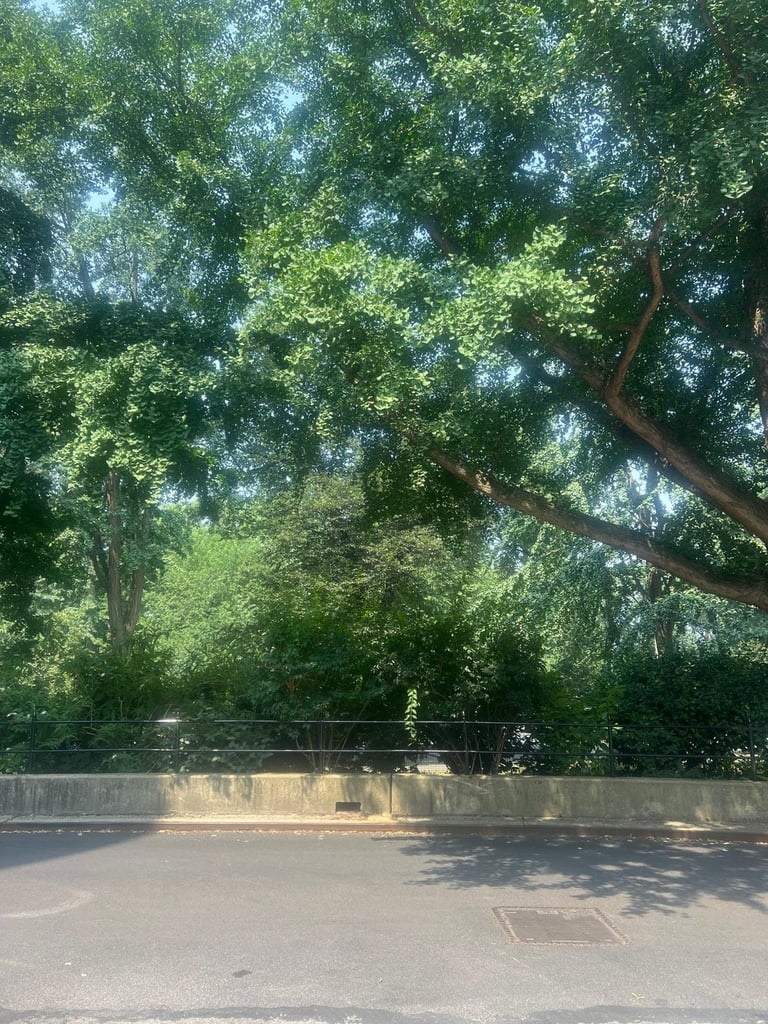 W 92 St / Riverside Drive - Photo 7