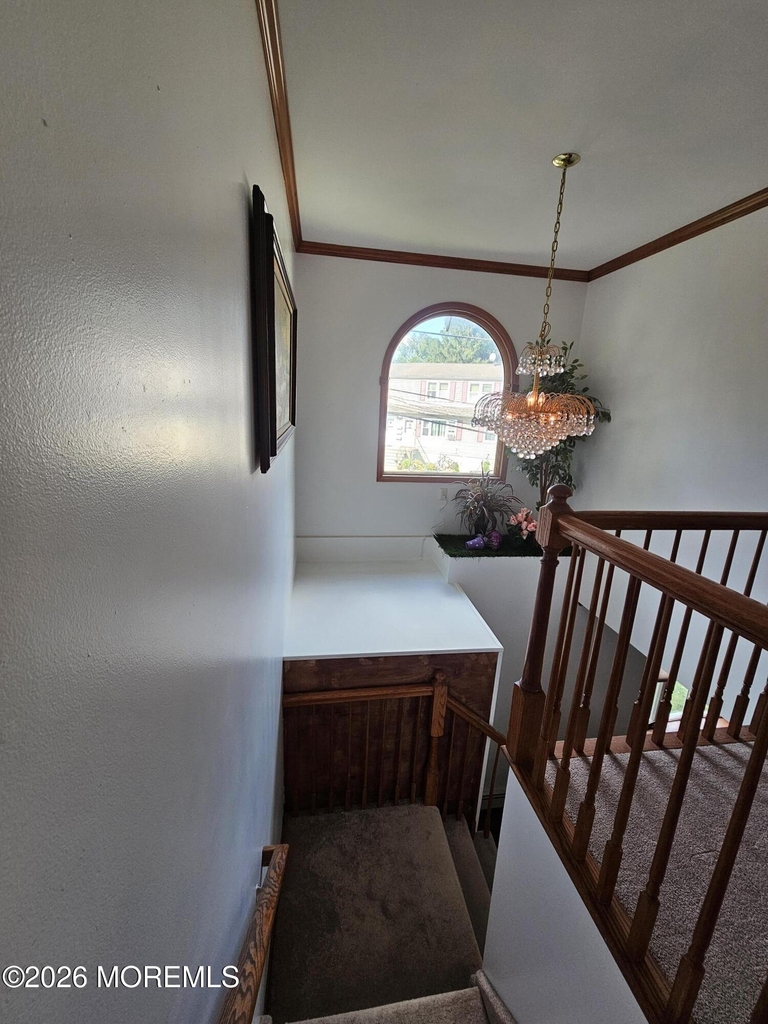4 Reade Street - Photo 12