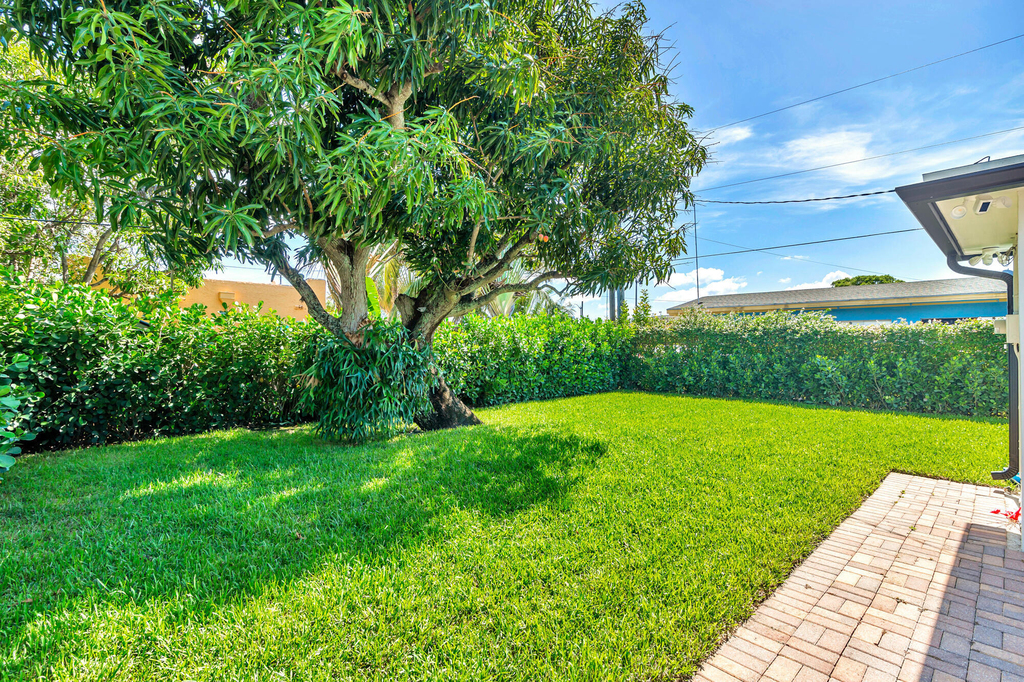 411 Summa Street - Photo 5