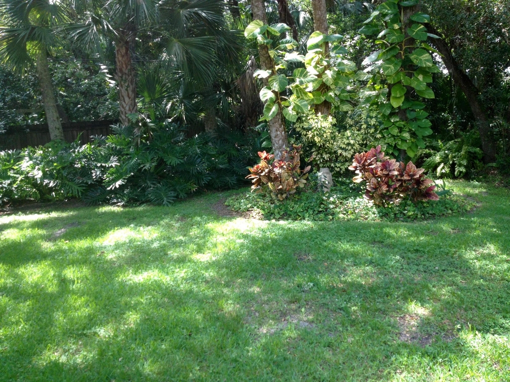 1927 Sixty Oaks Lane - Photo 12