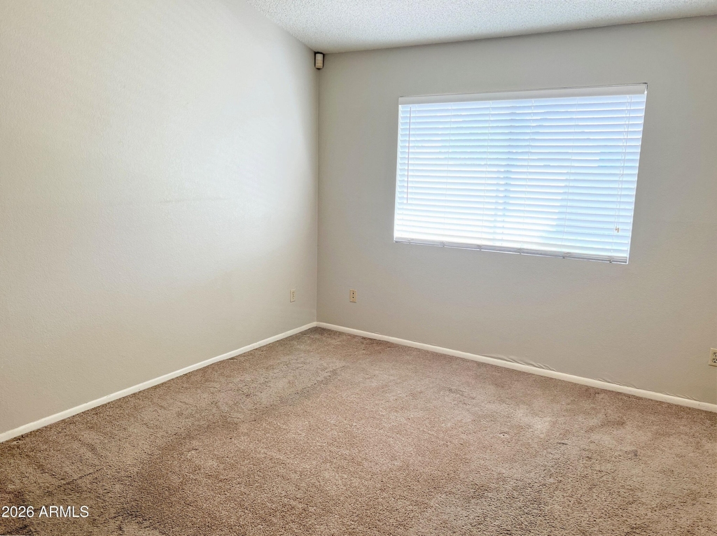 3029 W Tonopah Drive - Photo 13