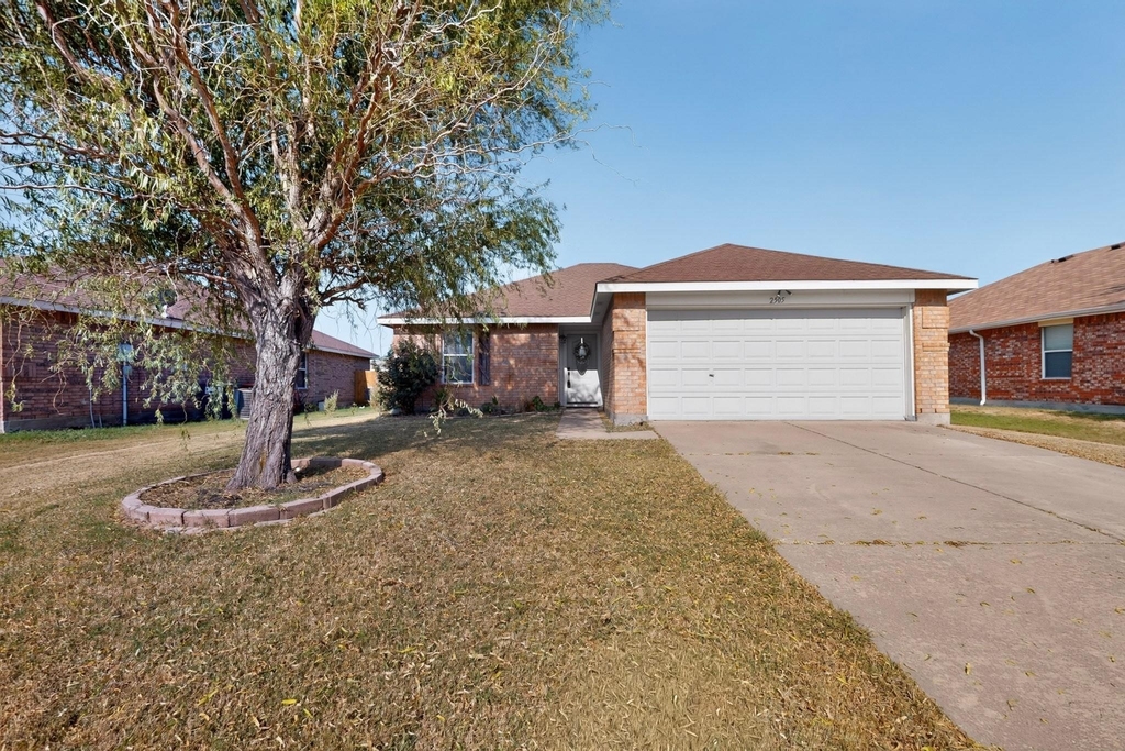 2505 Mitchell Lane - Photo 5