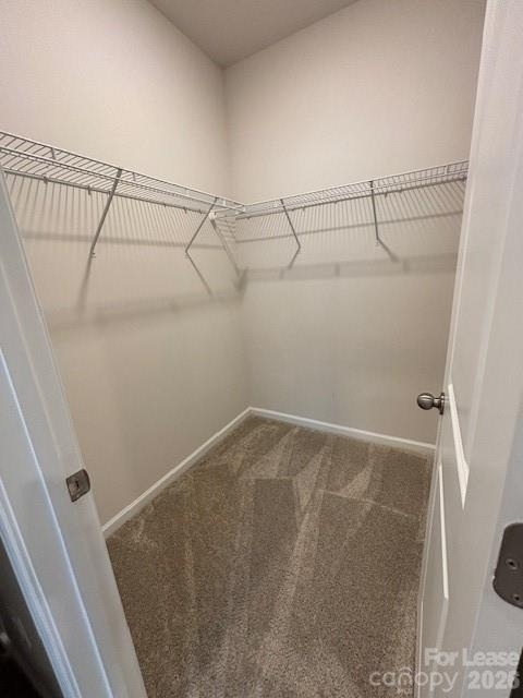 306 Sagecroft Lane - Photo 12