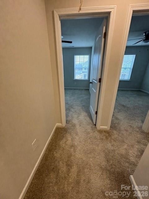 306 Sagecroft Lane - Photo 23