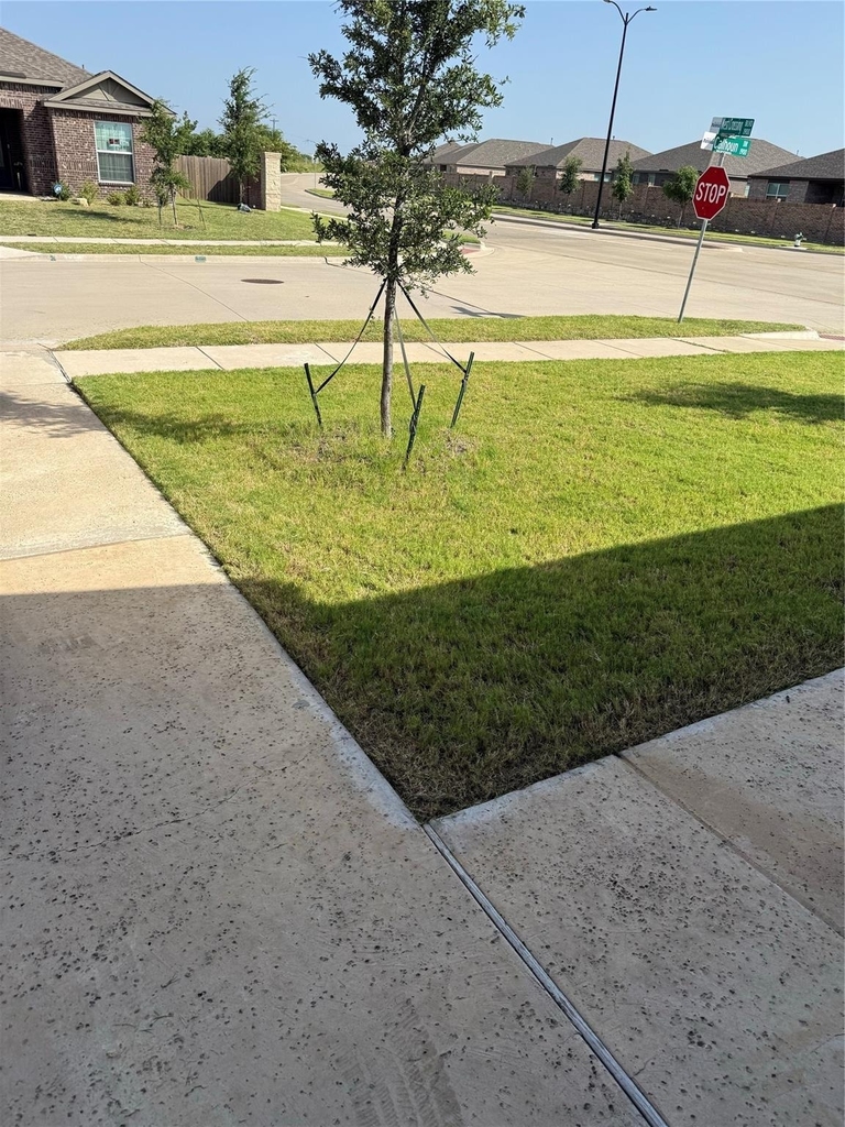 1001 Calhoun Drive - Photo 2