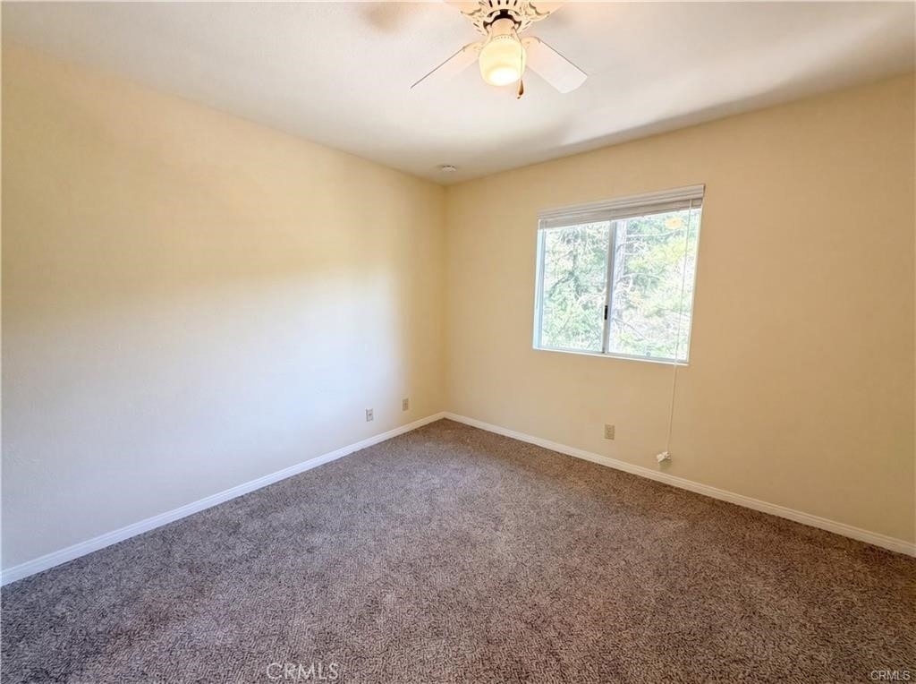 21778 Ridge - Photo 11